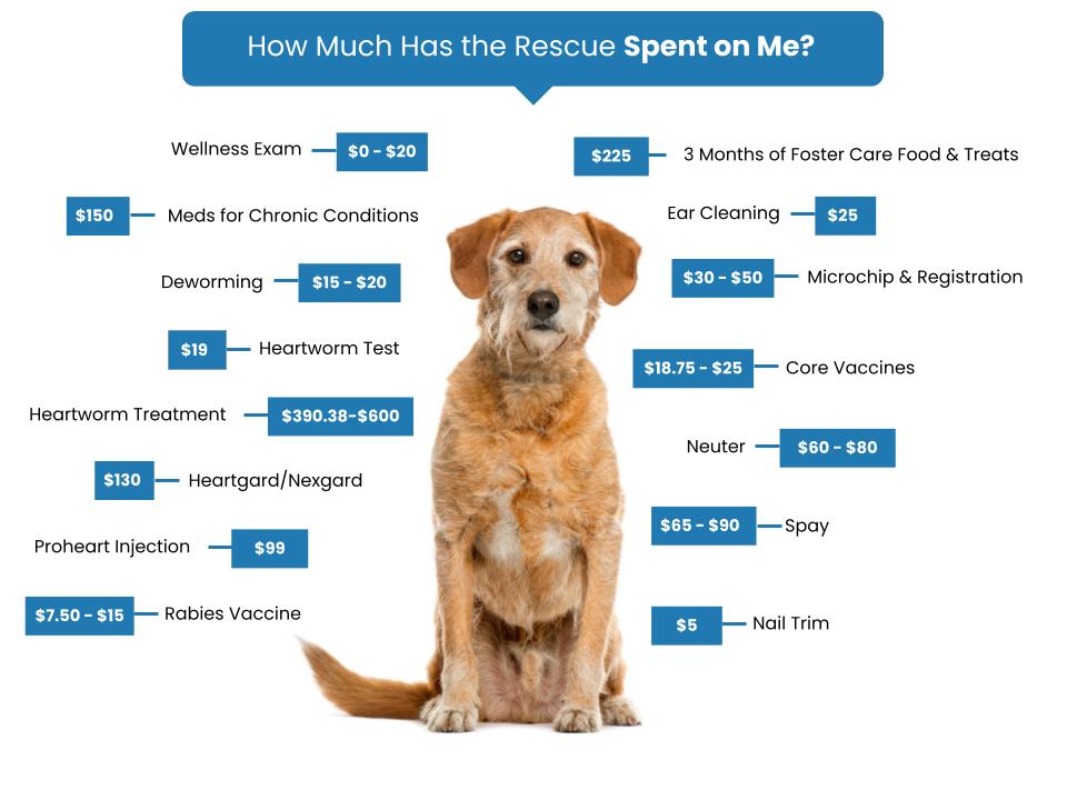 Clay County Animal Shelter Fee Graphic