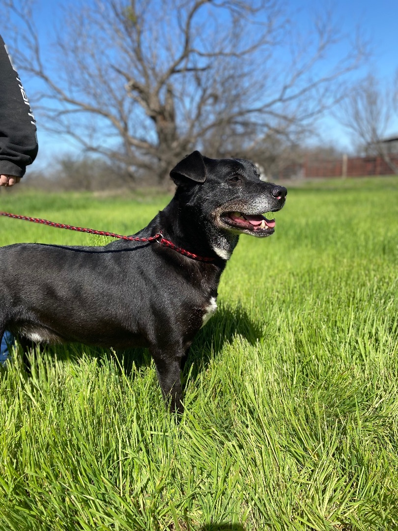 Ruger